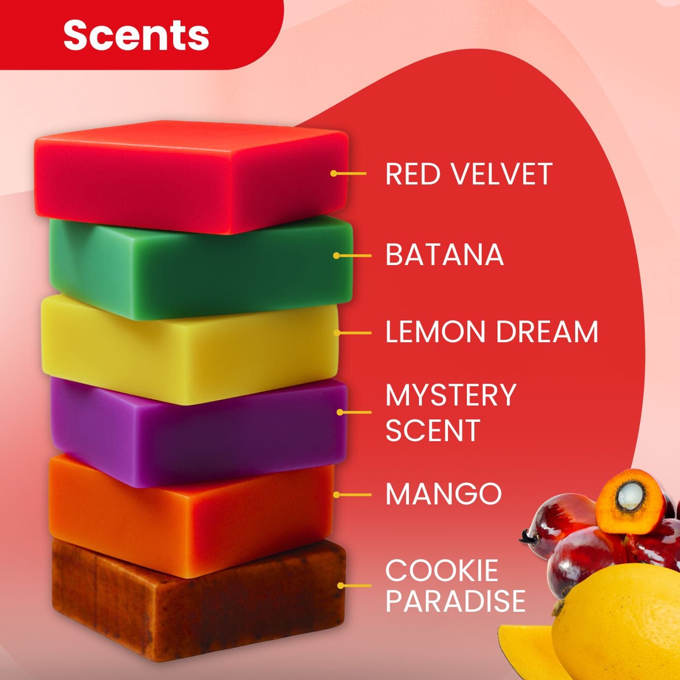 Shampoo Bar