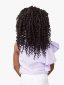 2X Passion Twist 10" Lulu Mini